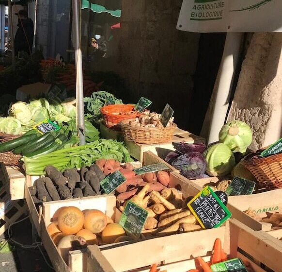 بنسيون Le Peyrail