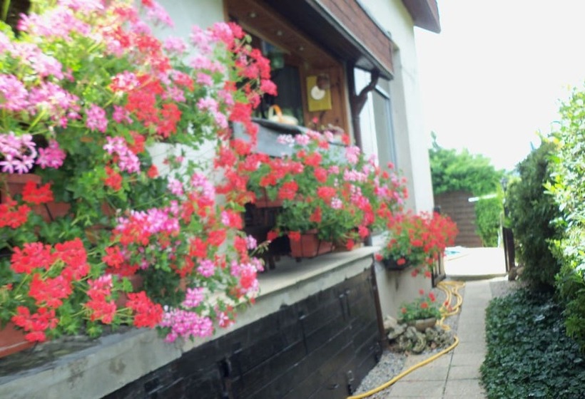 膳宿费 Les Egalieres