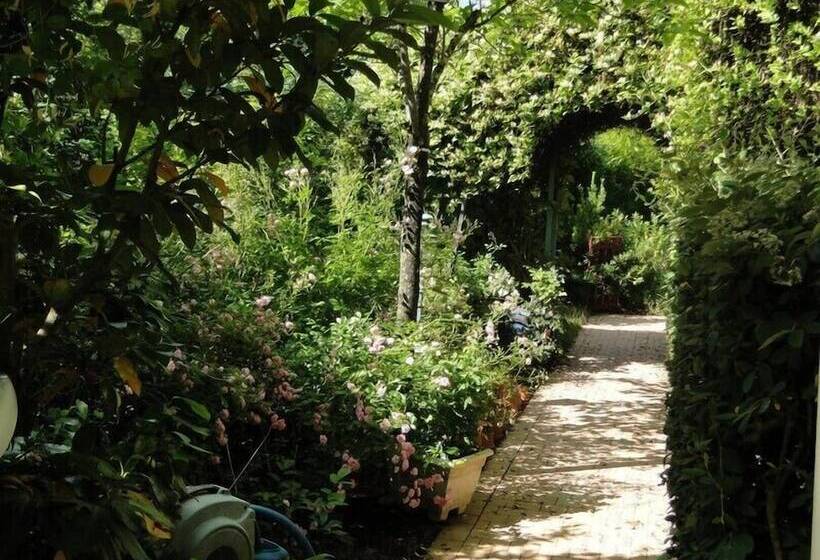 פנסיון Ma Pousada