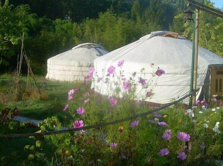 פנסיון Mandukhai