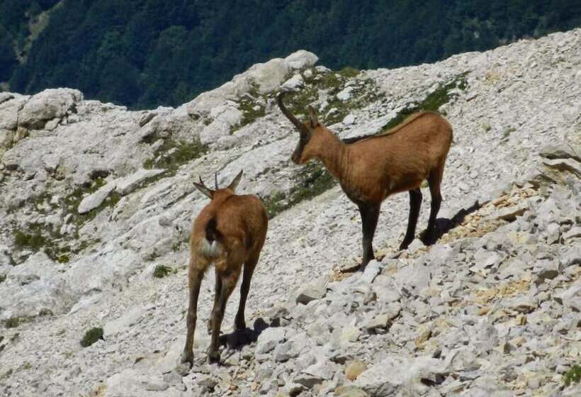 פנסיון Residence La Casa Di Vittorio