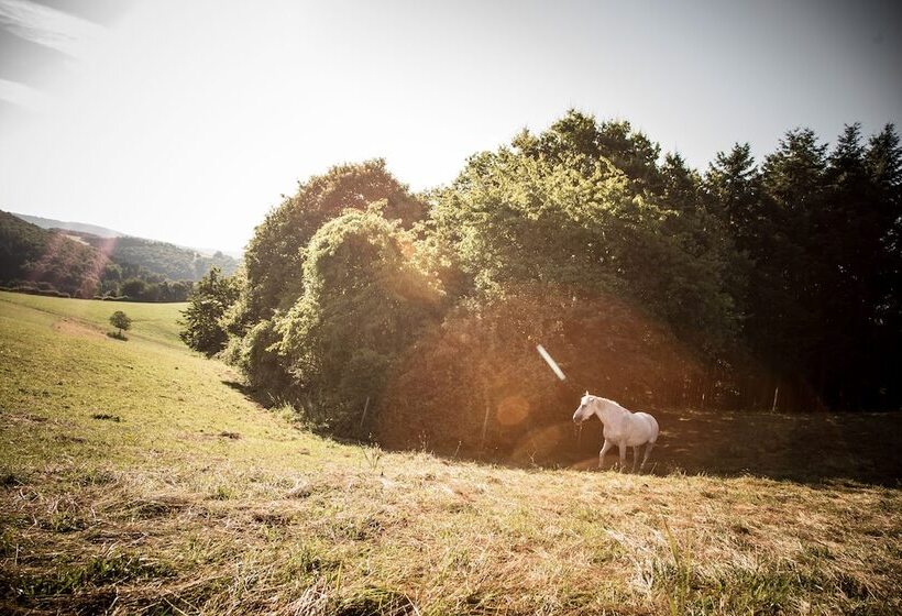 ペンション Schmidtburger Hof