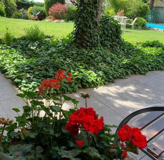 膳宿费 Spineto House