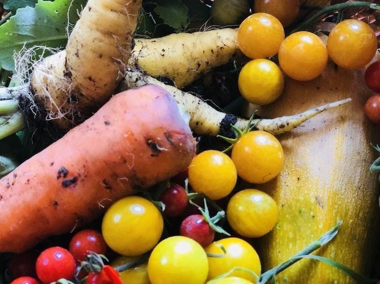 膳宿费 The Good House