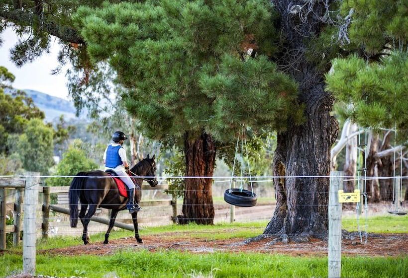פנסיון Yea Cabin Bunkhouse