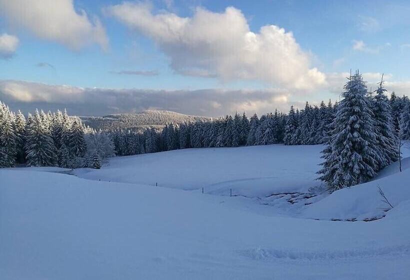 Pension Zum Glasmacher