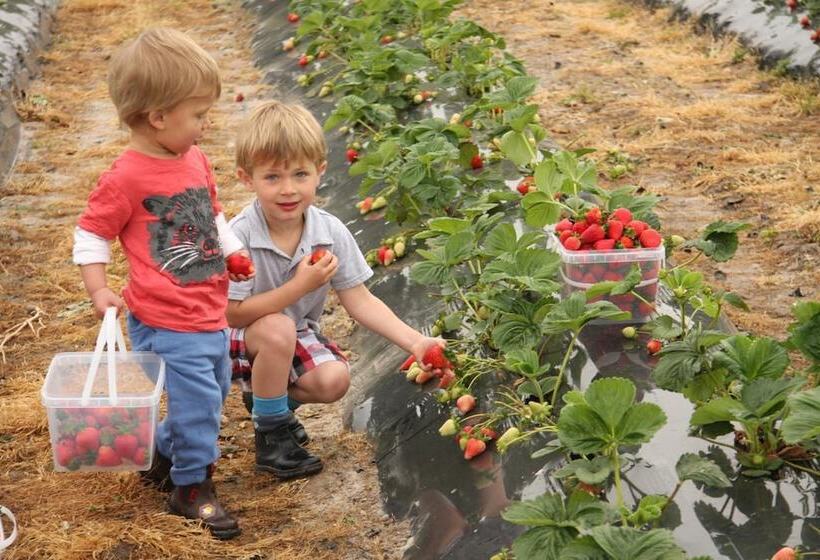 منتجع Big4 Kelso Sands Holiday Park