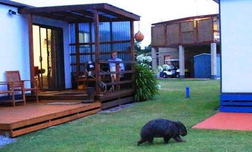 منتجع Big4 Kelso Sands Holiday Park