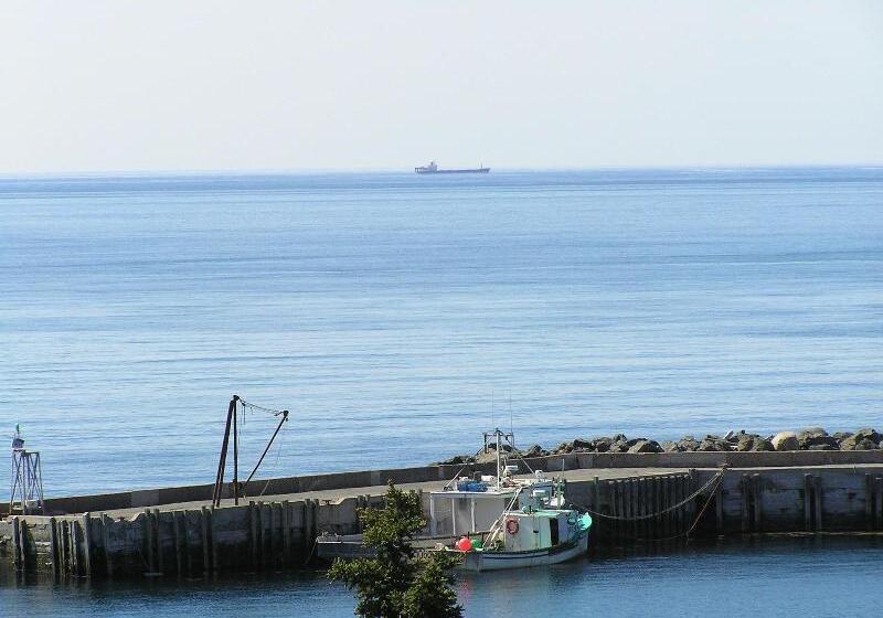 Whale Cove Inn