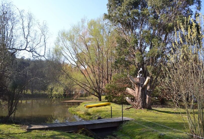 Whispering Spirit Holiday Cottages & Mini Ponies