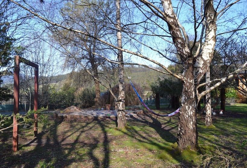 Whispering Spirit Holiday Cottages & Mini Ponies