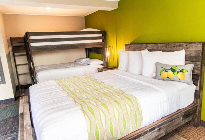 فندق American Classic Inn