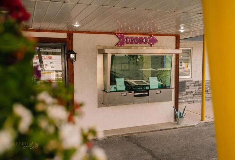 فندق American Classic Inn