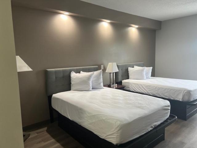 فندق Baymont By Wyndham Lakeland