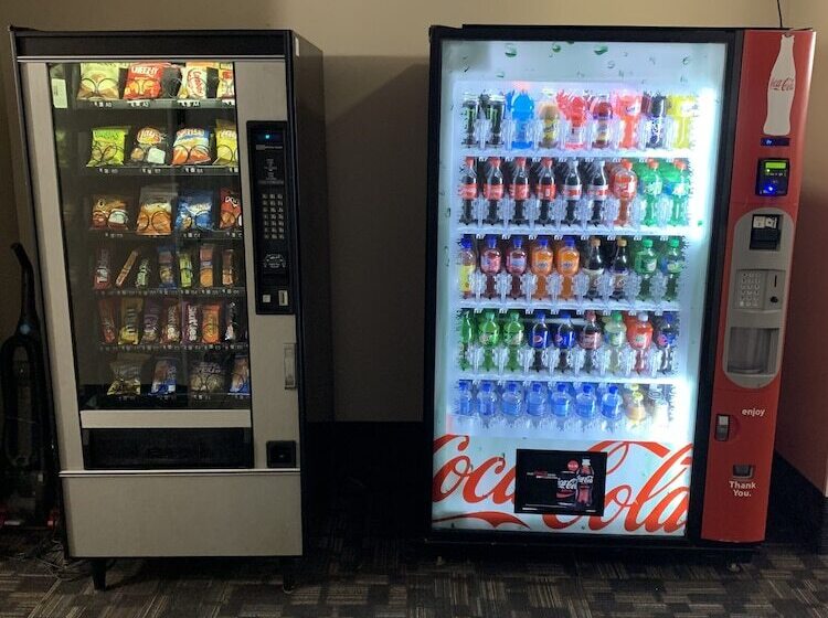 בית מלון כפרי Ormond Beach Inn