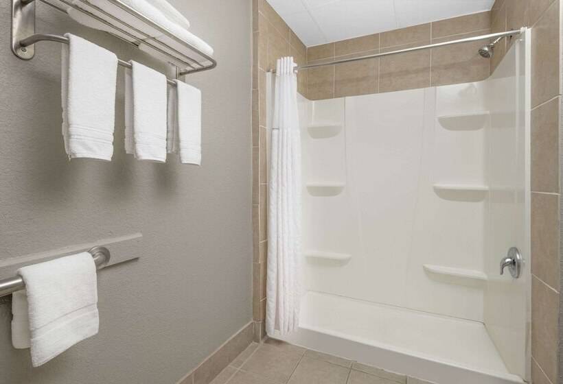 هتل Baymont By Wyndham Pooler/savannah