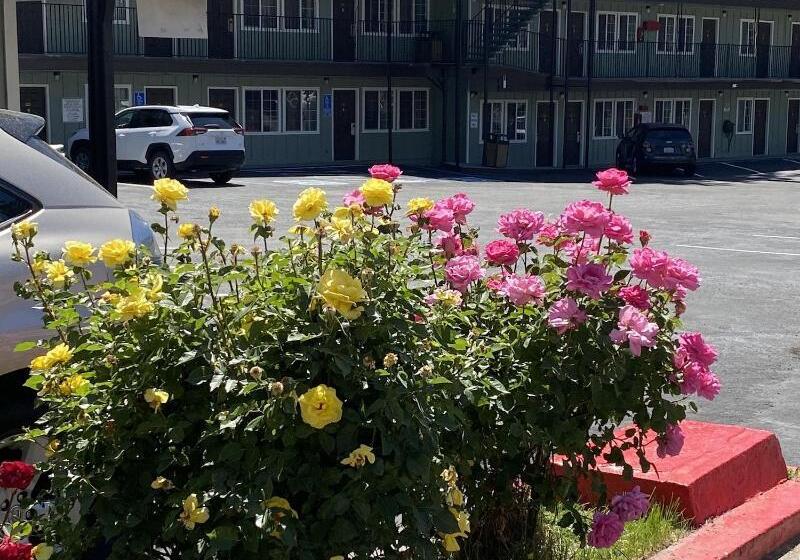 ホテル Budget Inn At The Heavenly Gondola