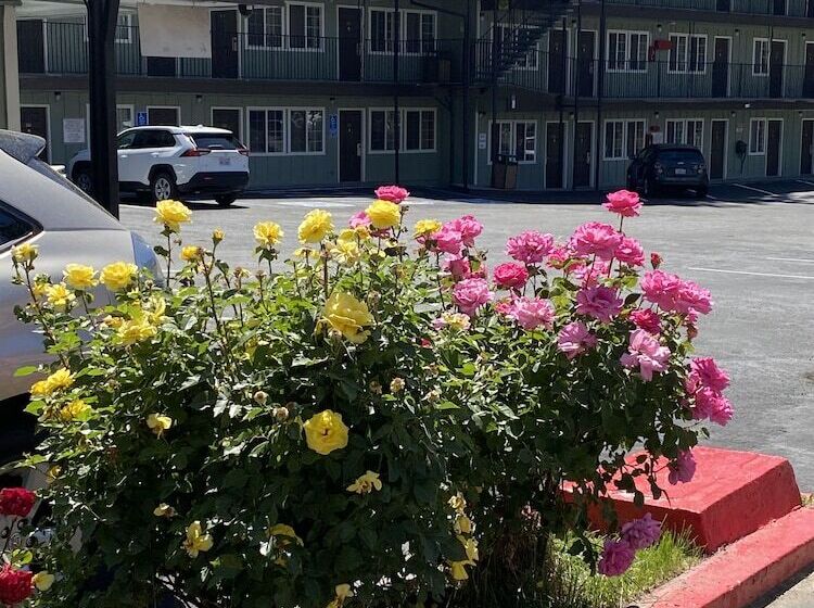 ホテル Budget Inn At The Heavenly Gondola