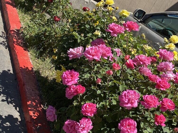 Отель Budget Inn At The Heavenly Gondola