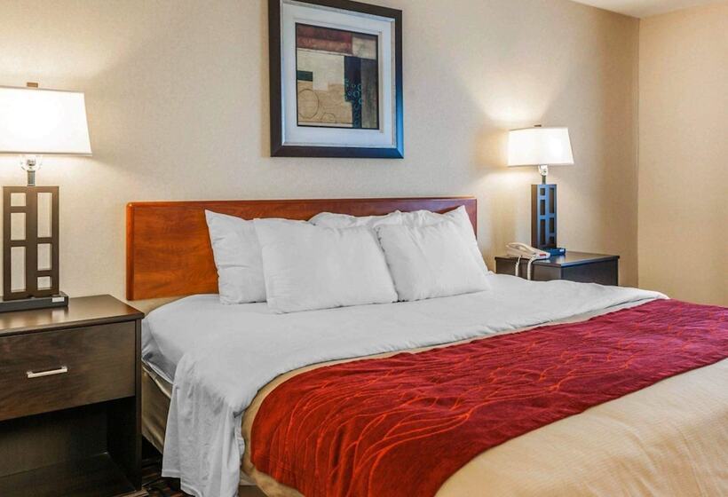 فندق Comfort Inn Avonindianapolis West