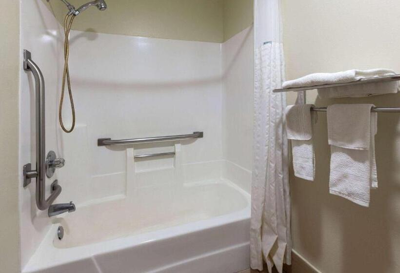 ホテル Rodeway Inn