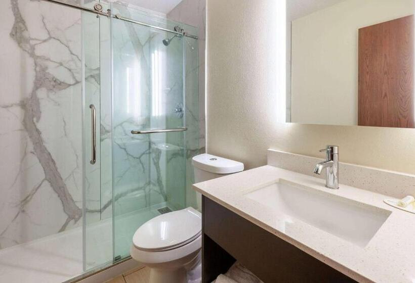 ホテル Rodeway Inn