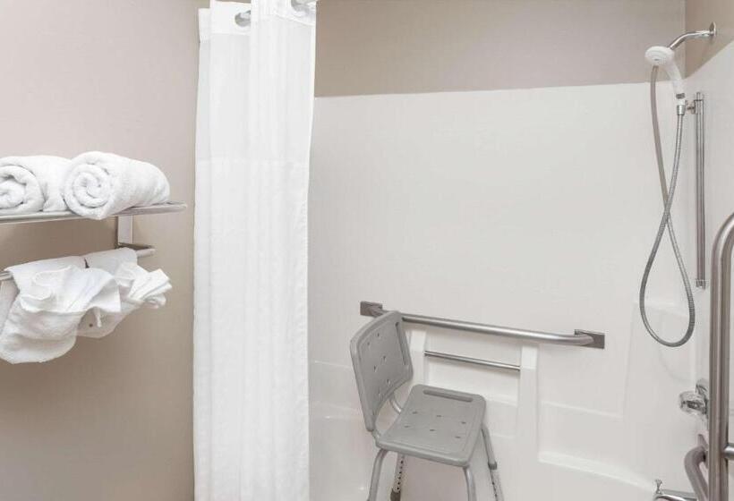 ホテル Rodeway Inn