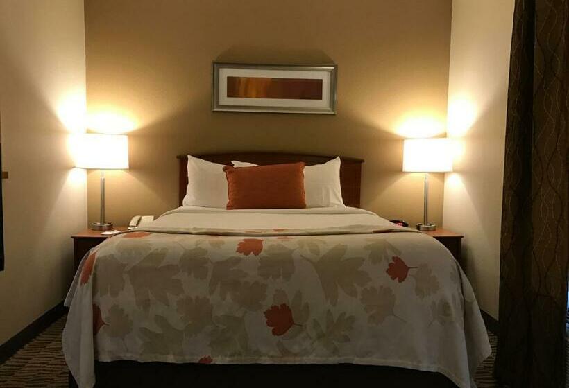 호텔 Hawthorn Suites By Wyndham Louisville North