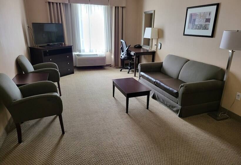 Holiday Inn Express Hotel & Suites Tipp City, An Ihg