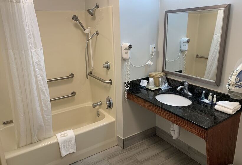 בית מלון כפרי Quality Inn Gallatinnashville Metro