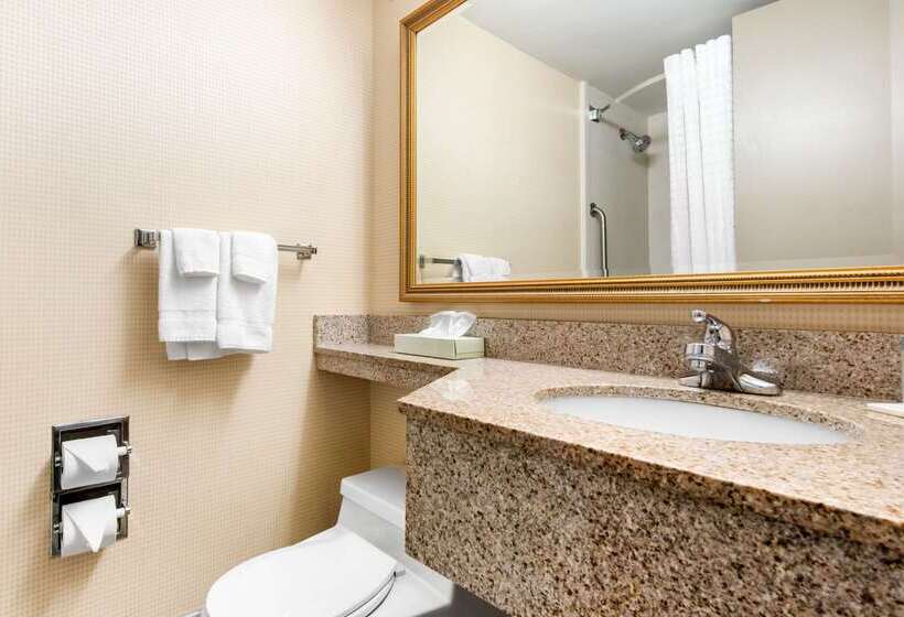 فندق Quality Inn & Suites