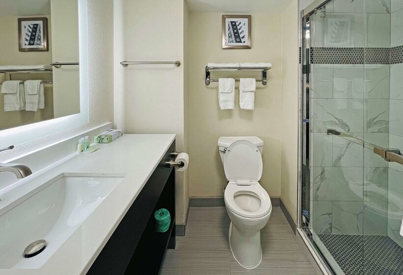 هتل Quality Inn & Suites Lake Charles South