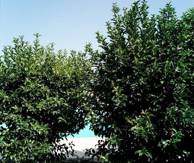 酒店 San Marco Antico Relais   B&b