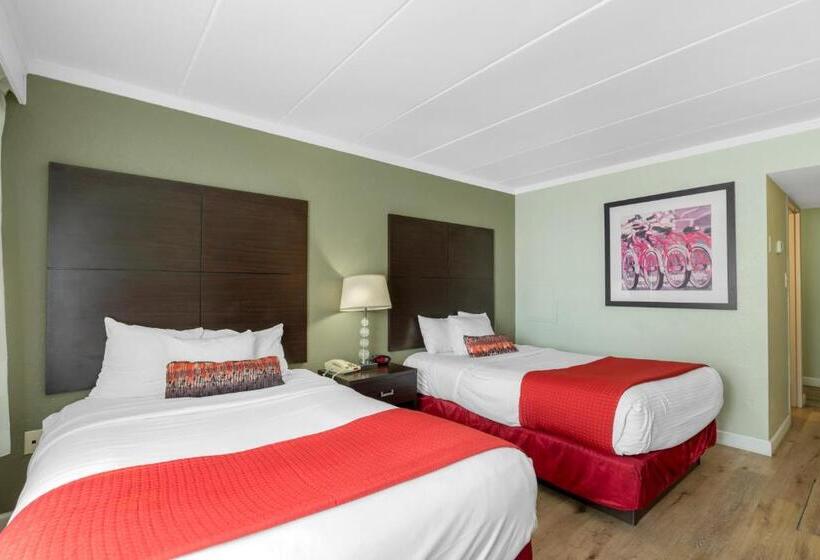 酒店 Sandcastle Resort