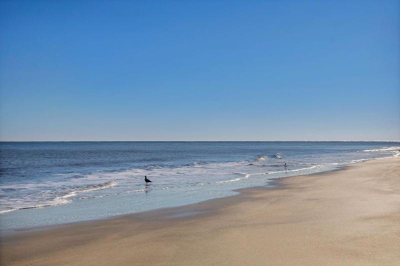 Sea And Breeze Hotel And Condo