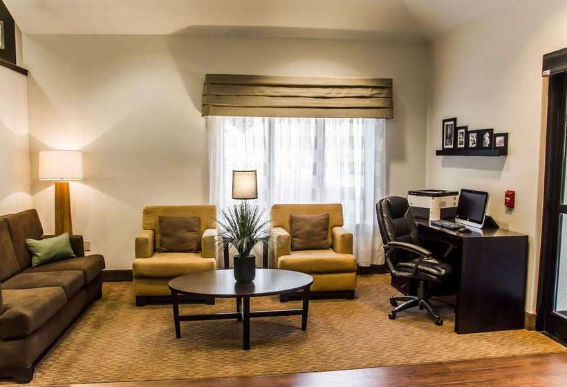 酒店 Sleep Inn Airport Billy Graham Parkway