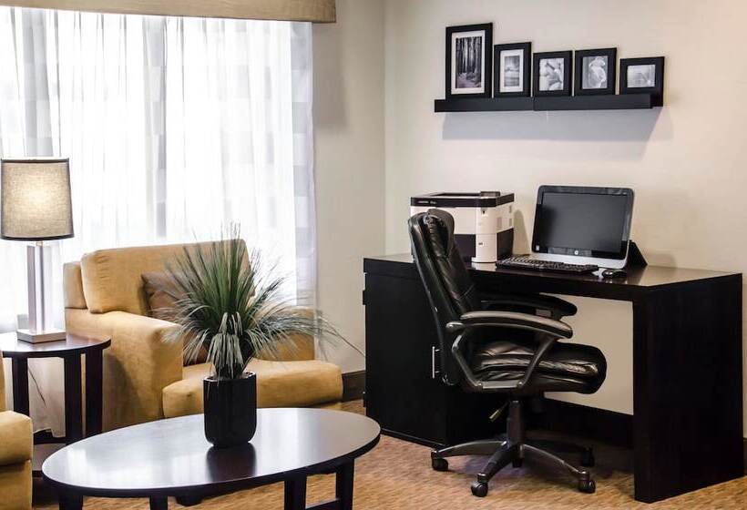 酒店 Sleep Inn Airport Billy Graham Parkway