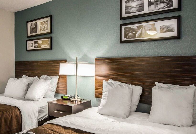 ホテル Sleep Inn Greensboro Airport