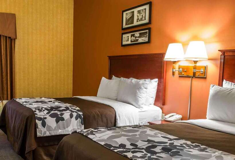 בית מלון כפרי Comfort Inn & Suites Ashland – Richmond North