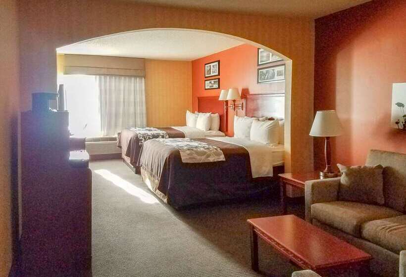 בית מלון כפרי Comfort Inn & Suites Ashland – Richmond North