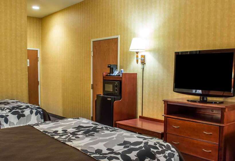 בית מלון כפרי Comfort Inn & Suites Ashland – Richmond North