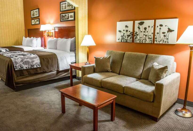 בית מלון כפרי Comfort Inn & Suites Ashland – Richmond North