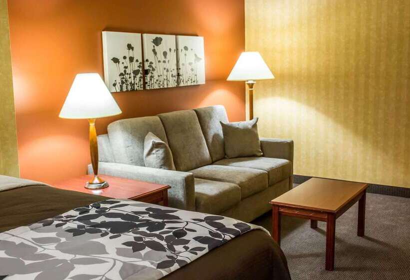 בית מלון כפרי Comfort Inn & Suites Ashland – Richmond North