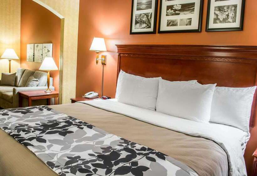 בית מלון כפרי Comfort Inn & Suites Ashland – Richmond North