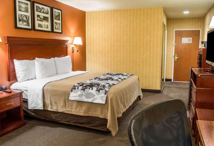 בית מלון כפרי Comfort Inn & Suites Ashland – Richmond North