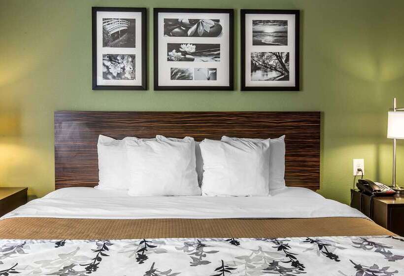 Отель Sleep Inn & Suites Mount Olive North