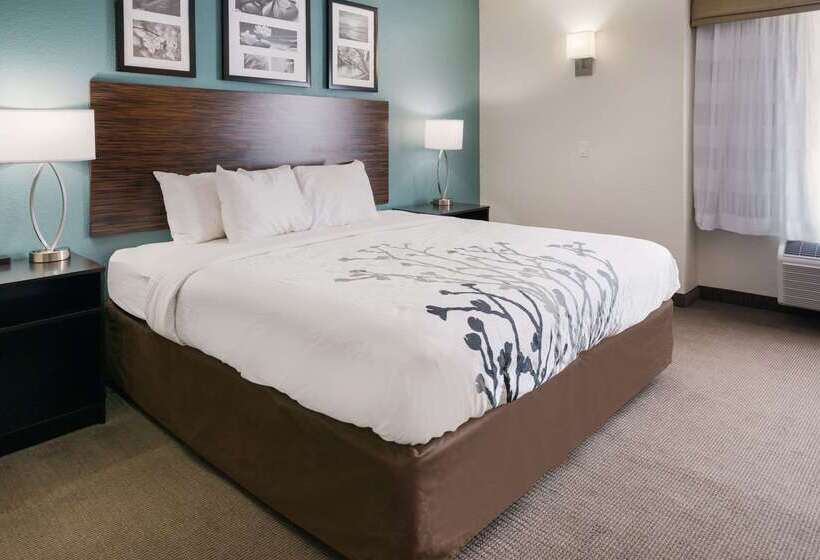 Отель Sleep Inn & Suites