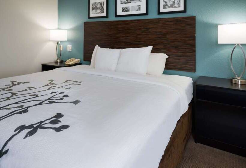 Отель Sleep Inn & Suites