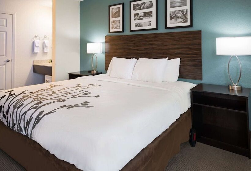 Отель Sleep Inn & Suites