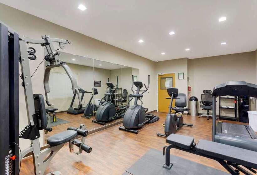 فندق Sleep Inn & Suites Smyrna   Nashville